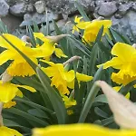 Il Fiore Del Calisio 3* Trento