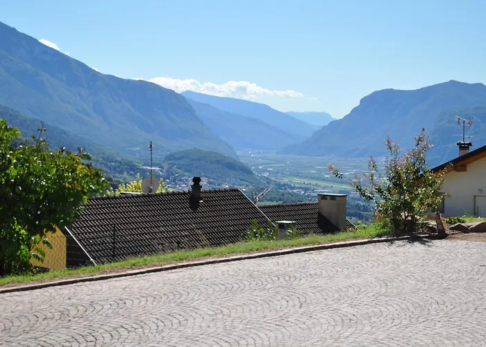 Il Fiore Del Calisio